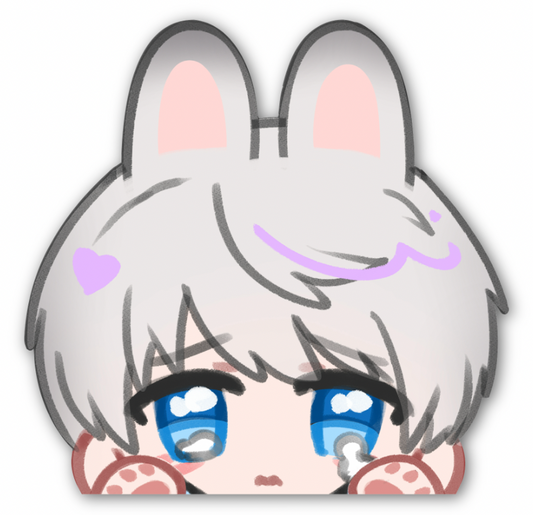LADS Peeker Stickers